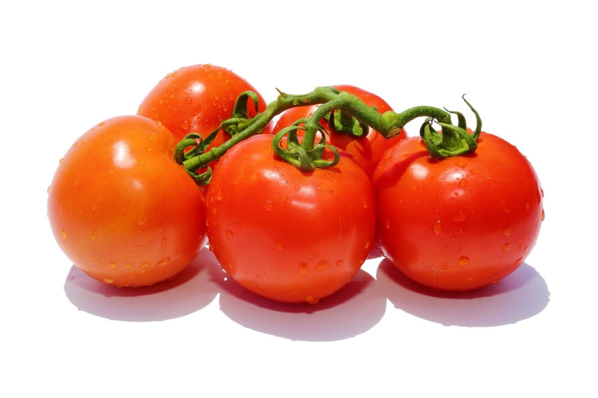 Tomato. Fresh Vine Ripened Tomato's isolated on white. room for text. Fresh Beef Stake Tomato. Cherry Tomato. Farm Fresh Tomato.